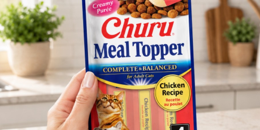Inaba Churu Cat Food Meal Topper 24-Pack Just $10.58 Shipped on Amazon (Reg. $24)