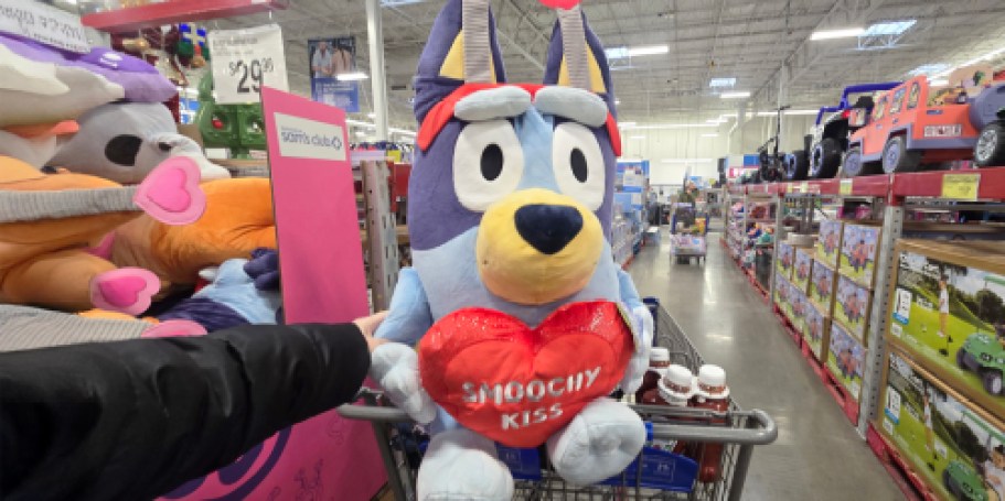 Bluey 28″ Valentine Jumbo Plush for $29.98 SamsClub.com | Choose Bluey, Bingo, or Muffin!