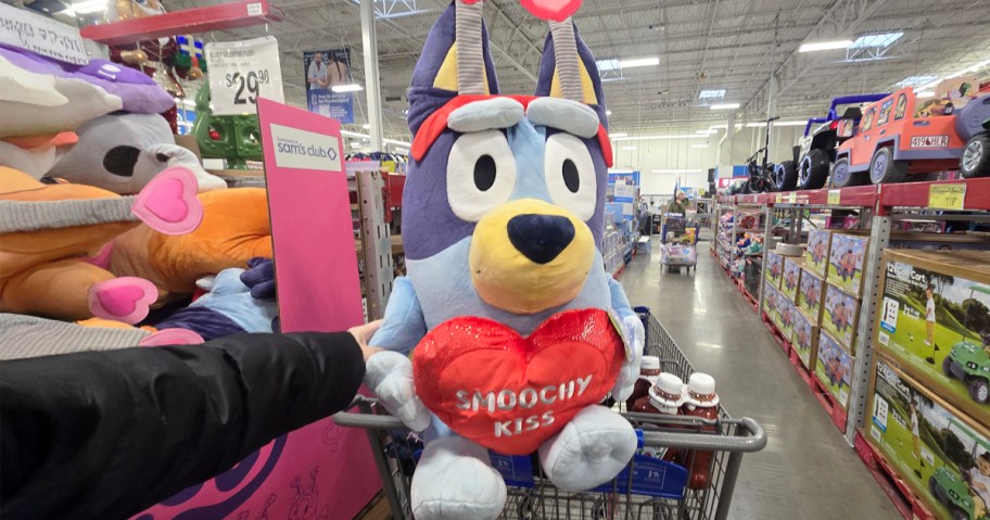 Jumbo Bluey Valentine Stuffie