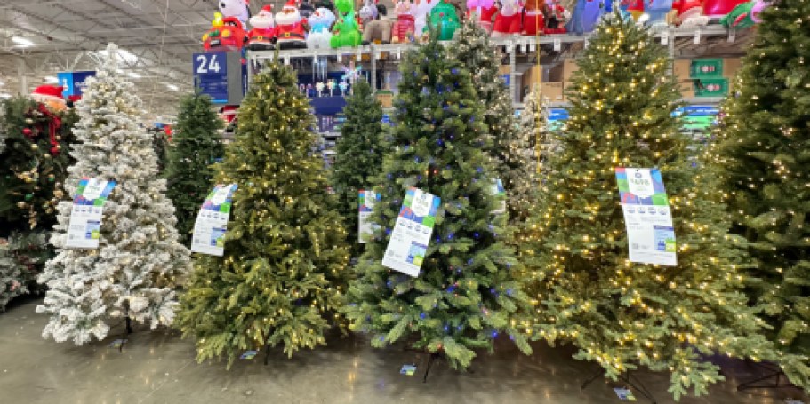 *HOT* 75% Off Lowe’s Christmas Trees + Free Shipping | Prices from $29.75 Shipped