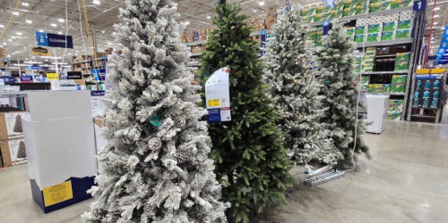 *HOT* 75% Off Lowe’s Christmas Trees + Free Shipping