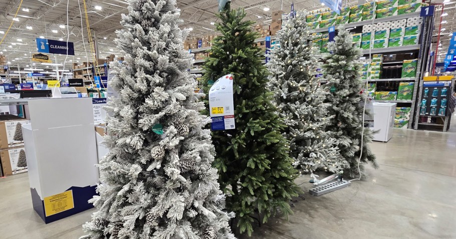 *HOT* 75% Off Lowe’s Christmas Trees + Free Shipping