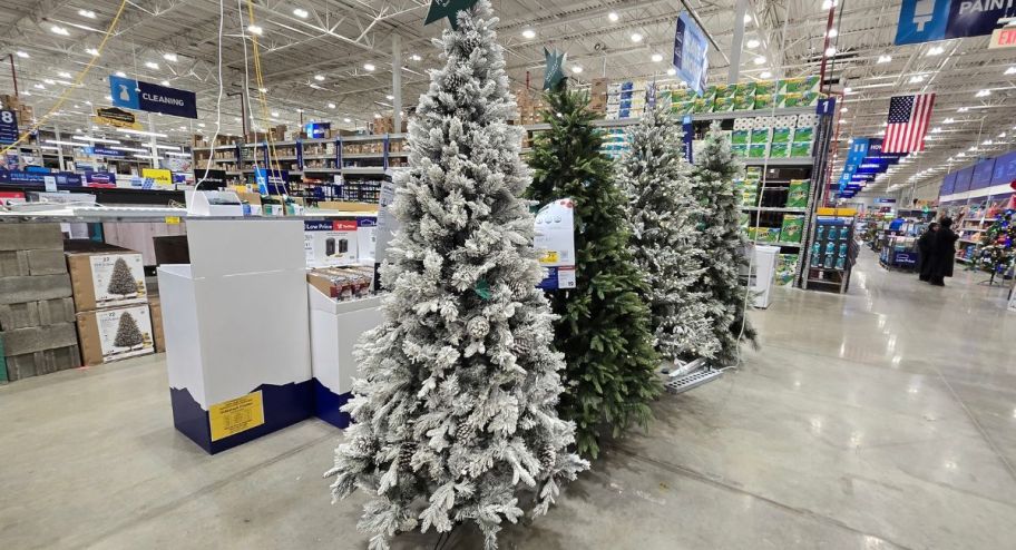Lowes christmas tree on display 