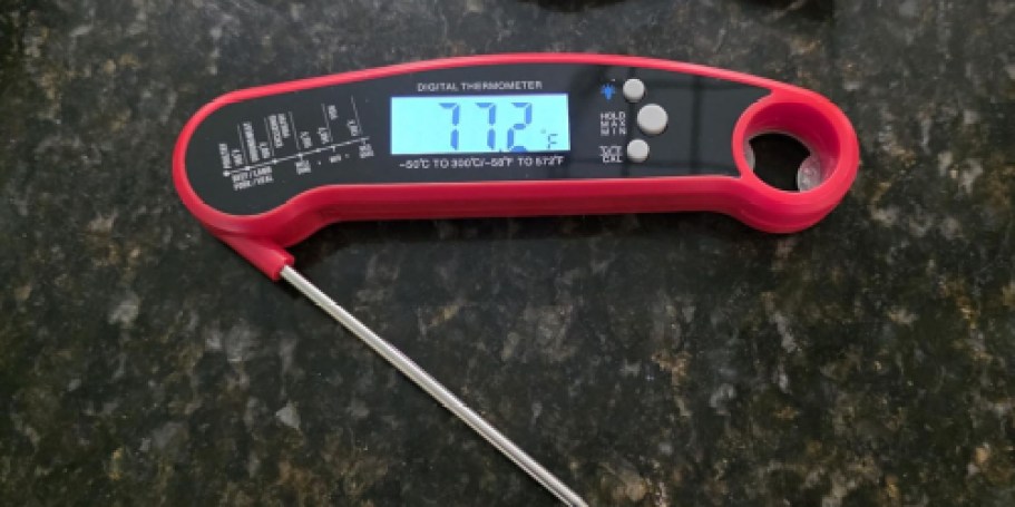 Digital Meat Thermometer Only $4 on Amazon (Reg. $10)