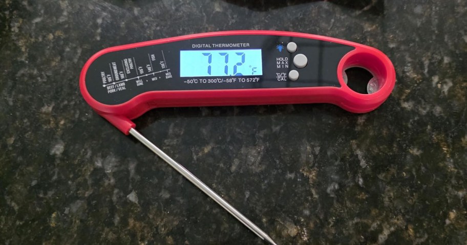 Meat Thermometer on a counter