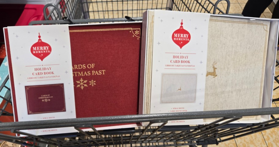 Merry Moments Holiday Card Book