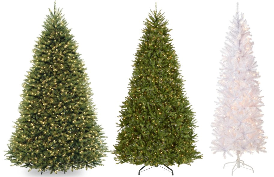 Three National Tree Company Christmas trees.