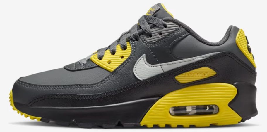 Nike Air Max 90 LTR Big Kids Shoes