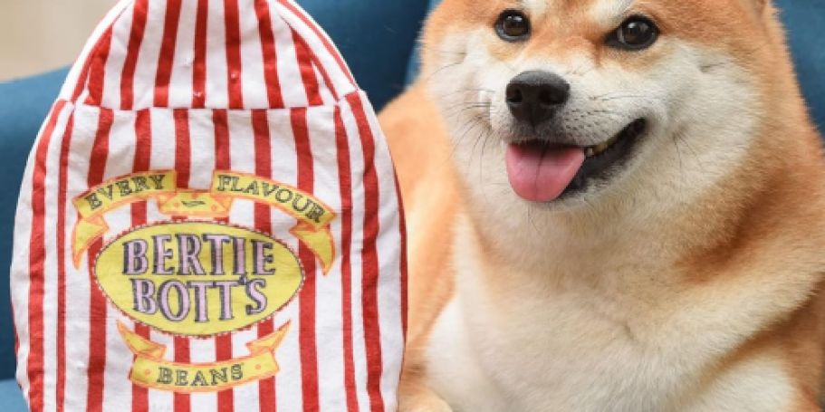 Up to 65% Off Pet Toys & Treats + Free Shipping | Harry Potter Toy Just $4.99 Shipped!