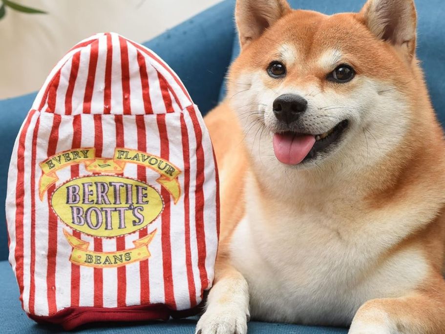 Up to 65% Off Pet Toys & Treats + Free Shipping | Harry Potter Toy Just $4.99 Shipped!