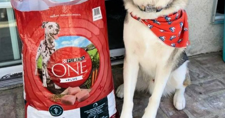 *HOT* $112 Worth of Dog Food Only $13.98 Delivered After Gift Cards for New Chewy Customers