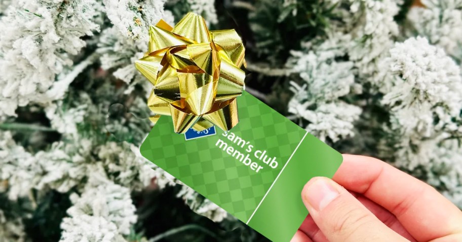 hand holding a sams club membership card with a gold bow on it
