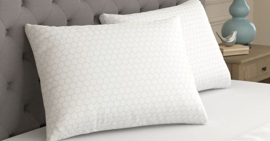 2 Sealy Pillows on a Bed