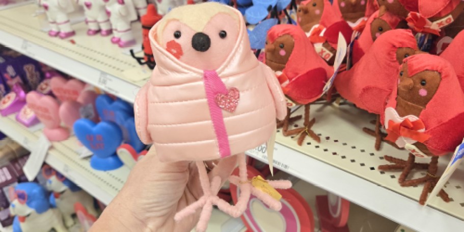 Target Valentine’s Day Birds Now Only $4