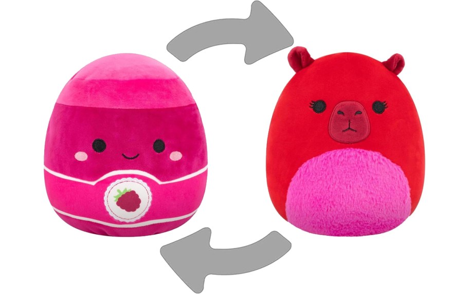 Capybara & Jam Squishmallows plush