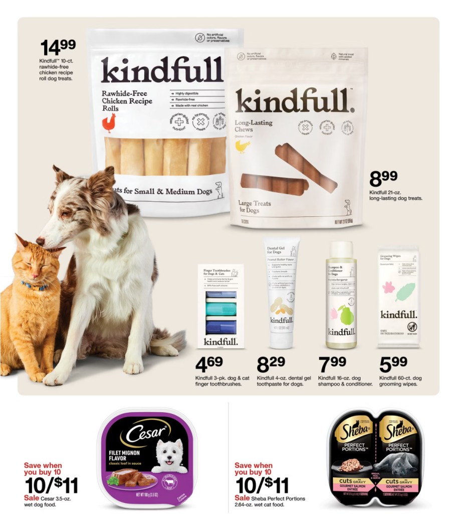page from Target ad