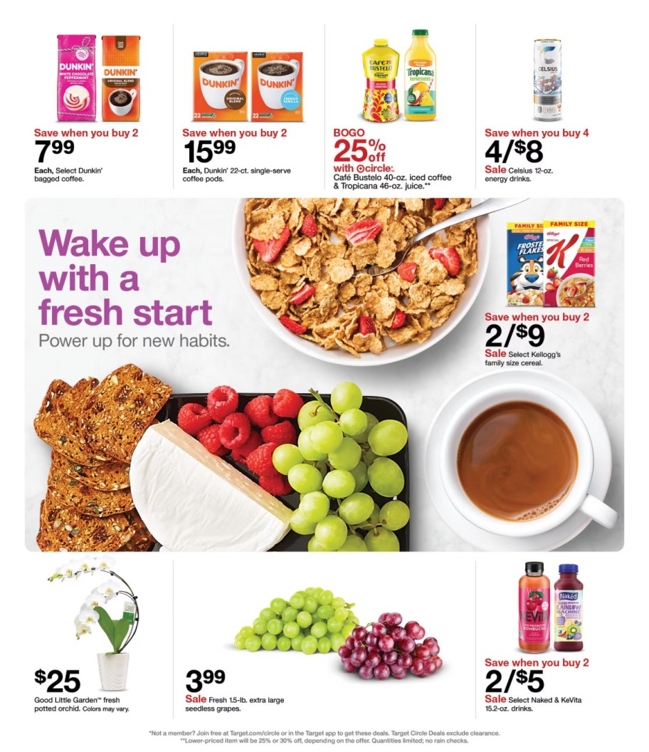 page from Target ad