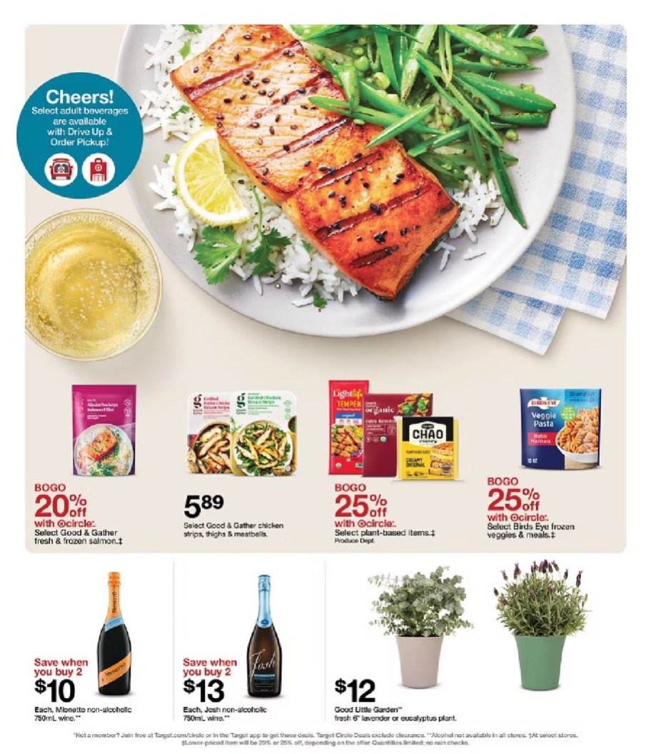 page from Target ad