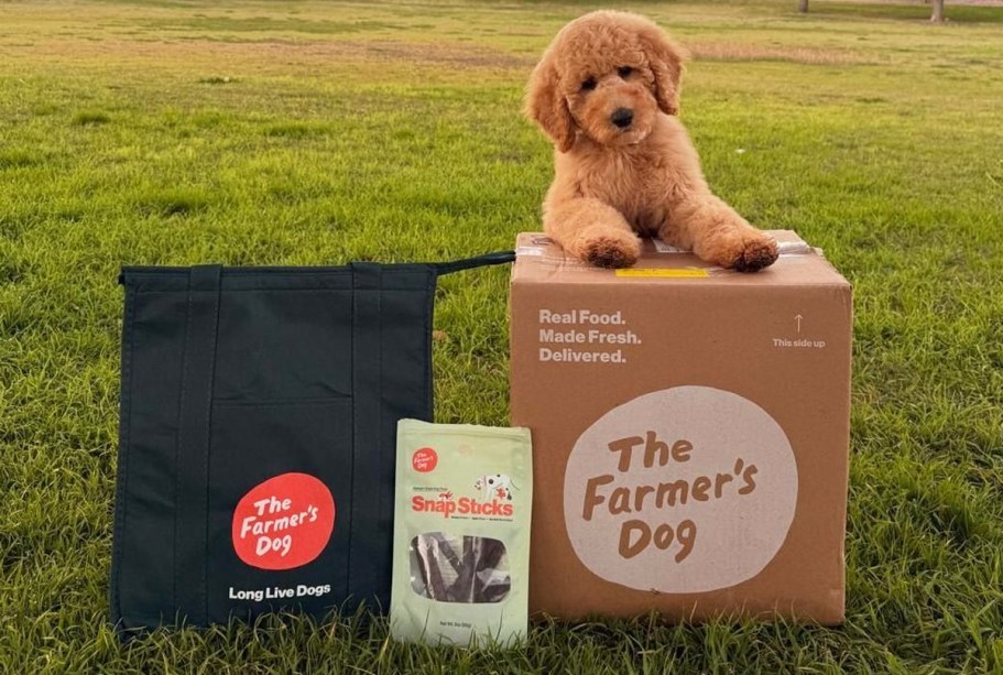 50% Off The Farmer’s Dog Fresh Dog Food + Free Shipping (Includes Free Cooler Bag, & More)