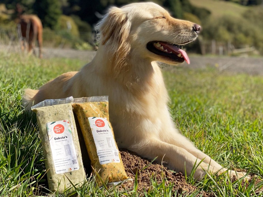 packs of farmers dog food next to a golden retriever