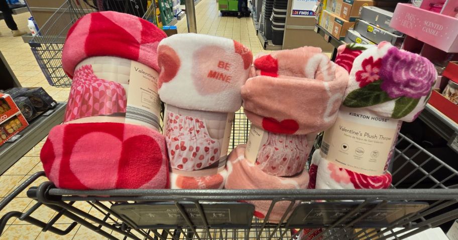 irkton House Valentine's Day Super Soft Plush Throws in cart in store
