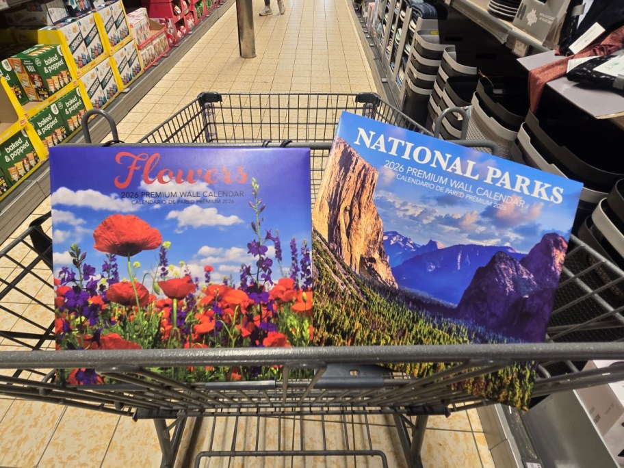 Two calendars in a cart at Aldi.