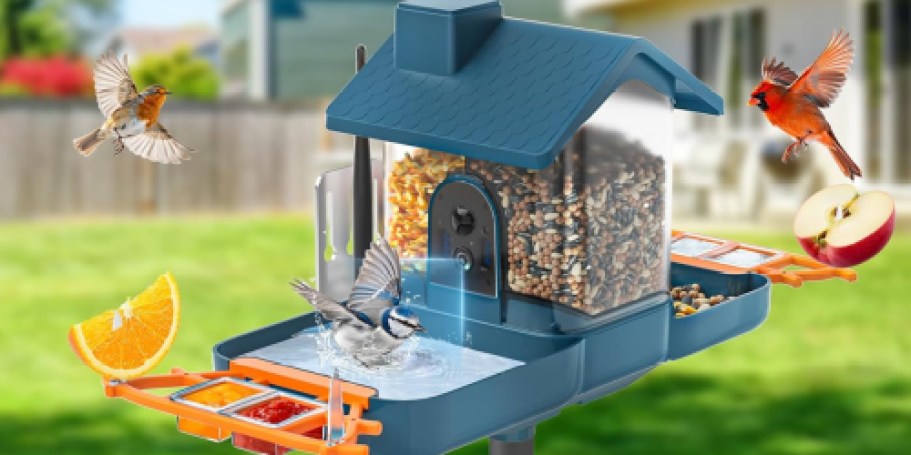 Dual Lens Bird Feeder & Bath Only $99.99 Shipped on Amazon