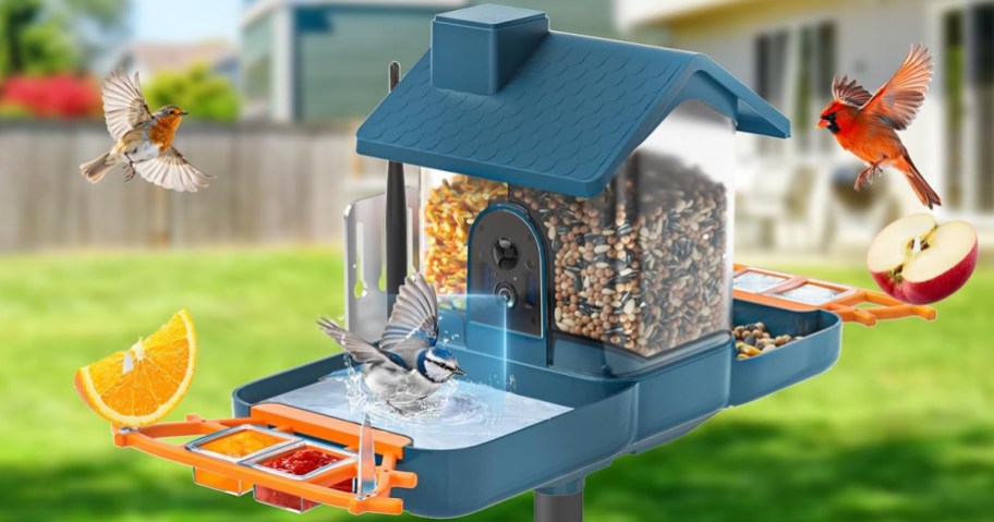 blue bird feeder with birds flying around it