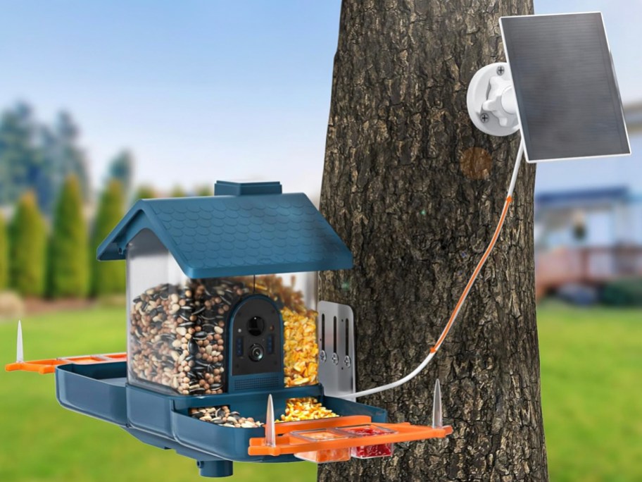 blue bird feeder hanging on tree with solar panel