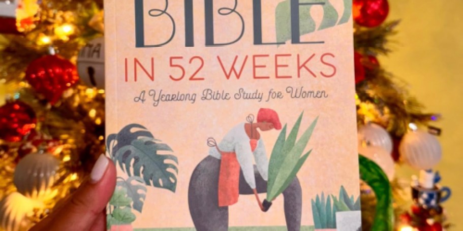 Top 10 Best Devotionals on Amazon (Last Minute Gift Idea)