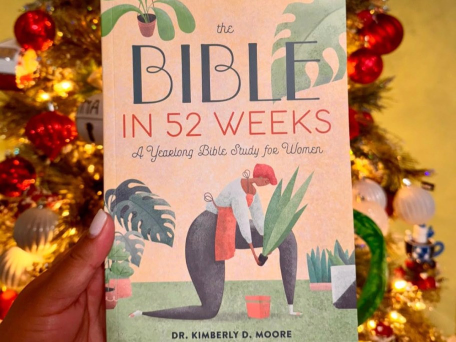 Top 10 Best Devotionals on Amazon (Last Minute Gift Idea)