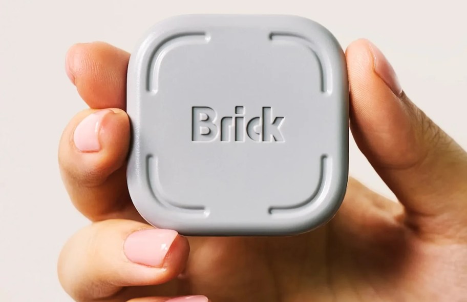 hand holding brick app blocker