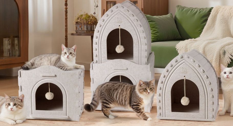 50% Off Cat Houses on Amazon | Prices as Low as $10.99!