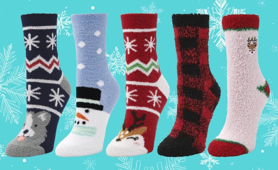 cozy socks in various designs