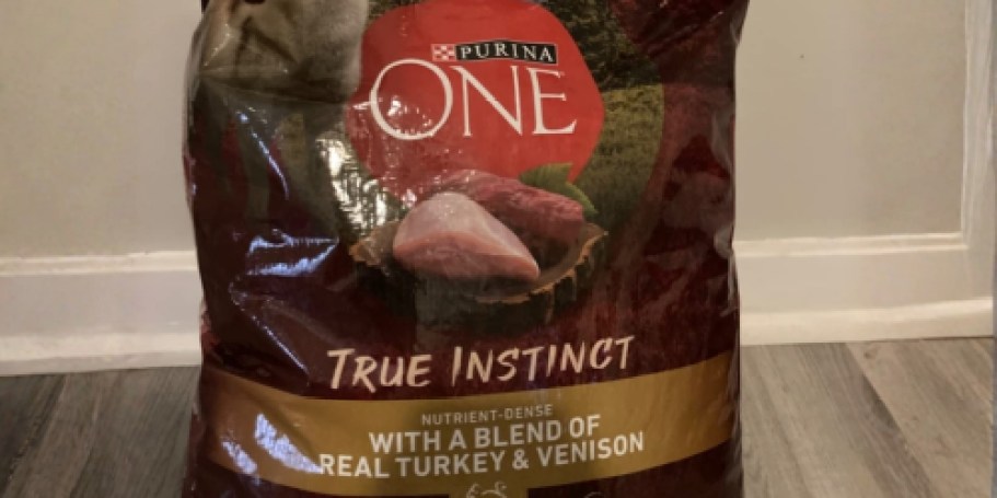 *HOT* New Chewy Customers: Score $54 Worth of Dog Food for FREE After Gift Card!