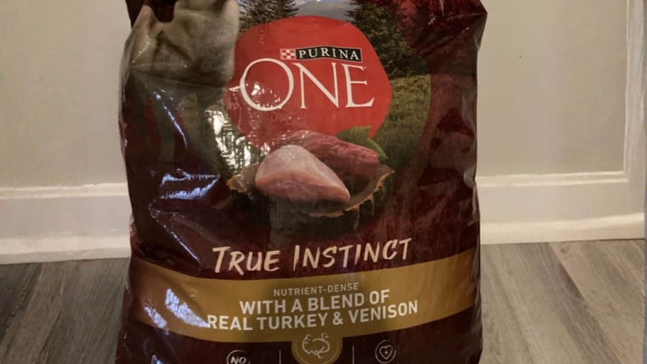 *HOT* New Chewy Customers: Score $54 Worth of Dog Food for FREE After Gift Card!