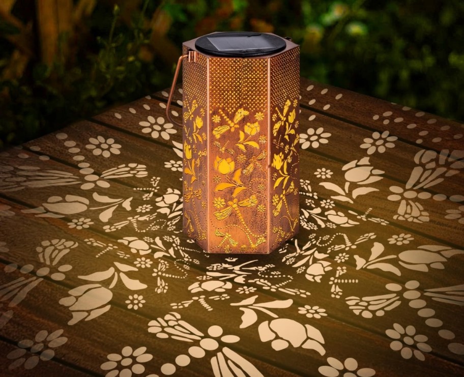 a dragonfly solar lantern