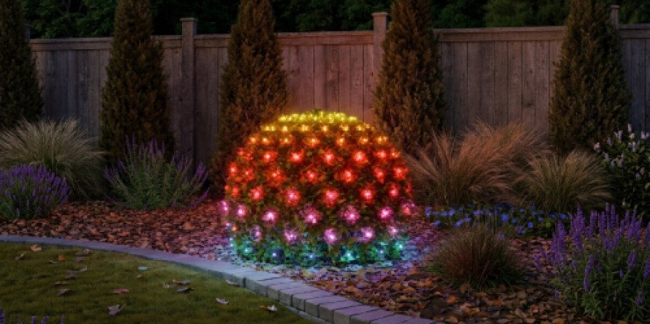 Rare Savings on Govee Lights + Free Shipping for Amazon Prime Members