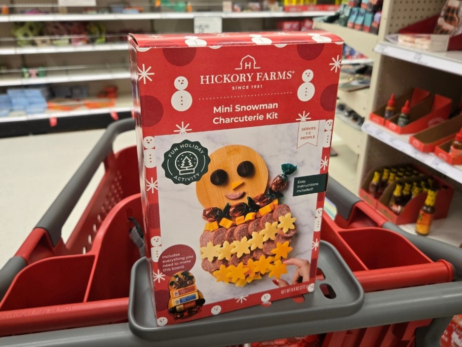 snowman charcuterie kit