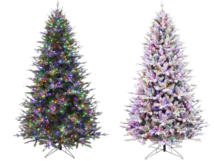 two Kensington christmas trees