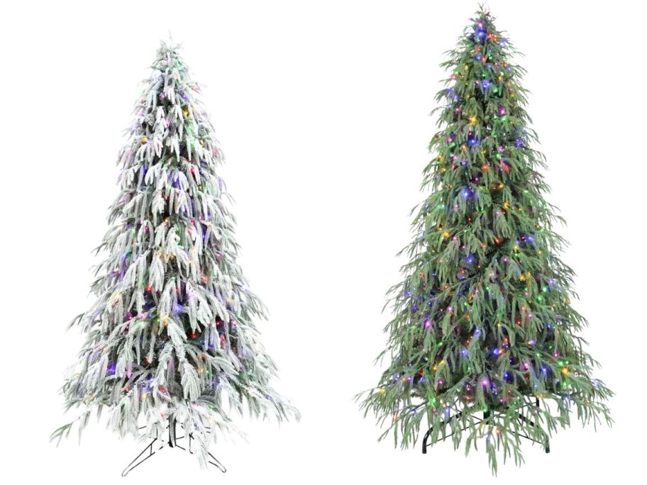 two Weeping Willow Spruce christmas trees