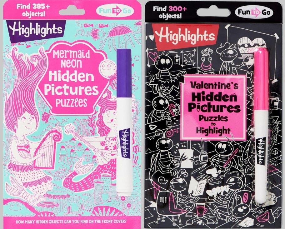 two hidden picture highlights books