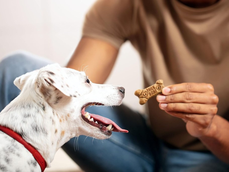 Milk-Bone Flavor Snacks Dog Treats Just $2 Shipped on Amazon