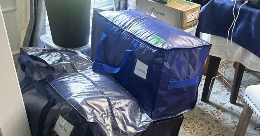 EIGHT Moving Storage Bags Just $16.79 on Amazon (They Hold 50 Pounds Each!)