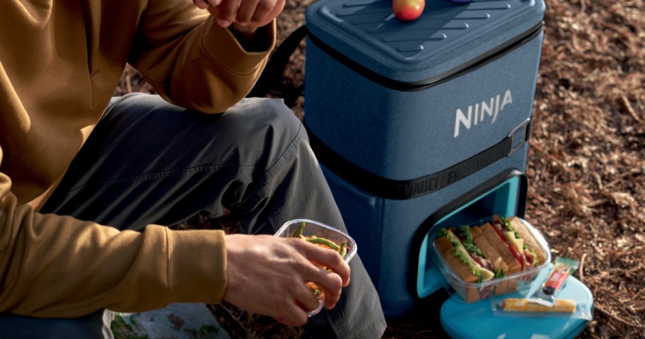 A person in casual clothing sits outdoors beside a blue cooler labeled "Ninja." They hold a container of food, and nearby, another container holds hot dogs and apples, suggesting a picnic setting.