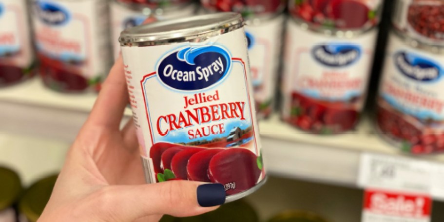 Ocean Spray Cranberry Sauce Just 88¢ Shipped on Amazon