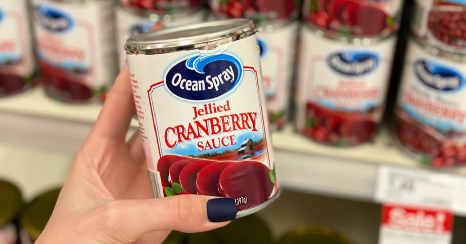 Ocean Spray Cranberry Sauce Just 88¢ Shipped on Amazon