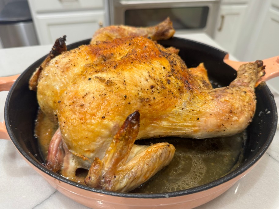 oven roasted chicken in our place cast iron skillet 
