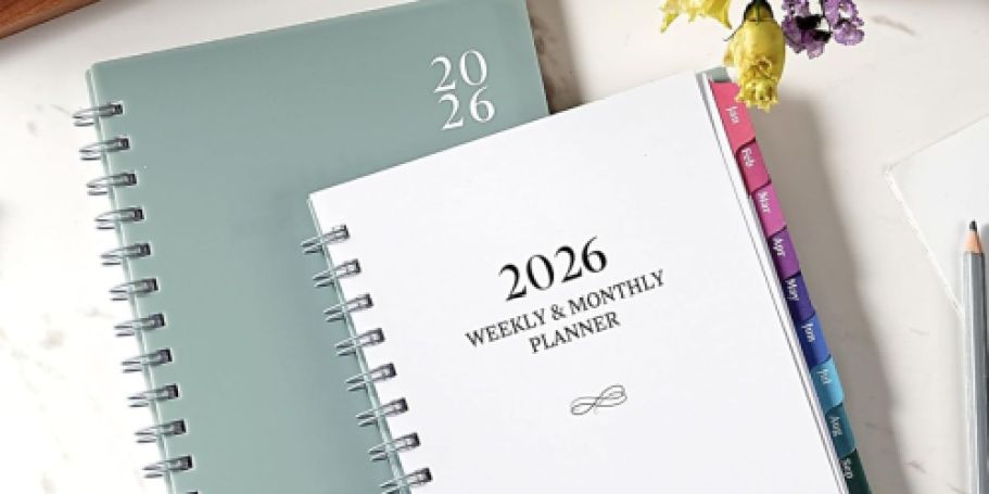 GO! 2026 Planners Only $3.99 on Amazon
