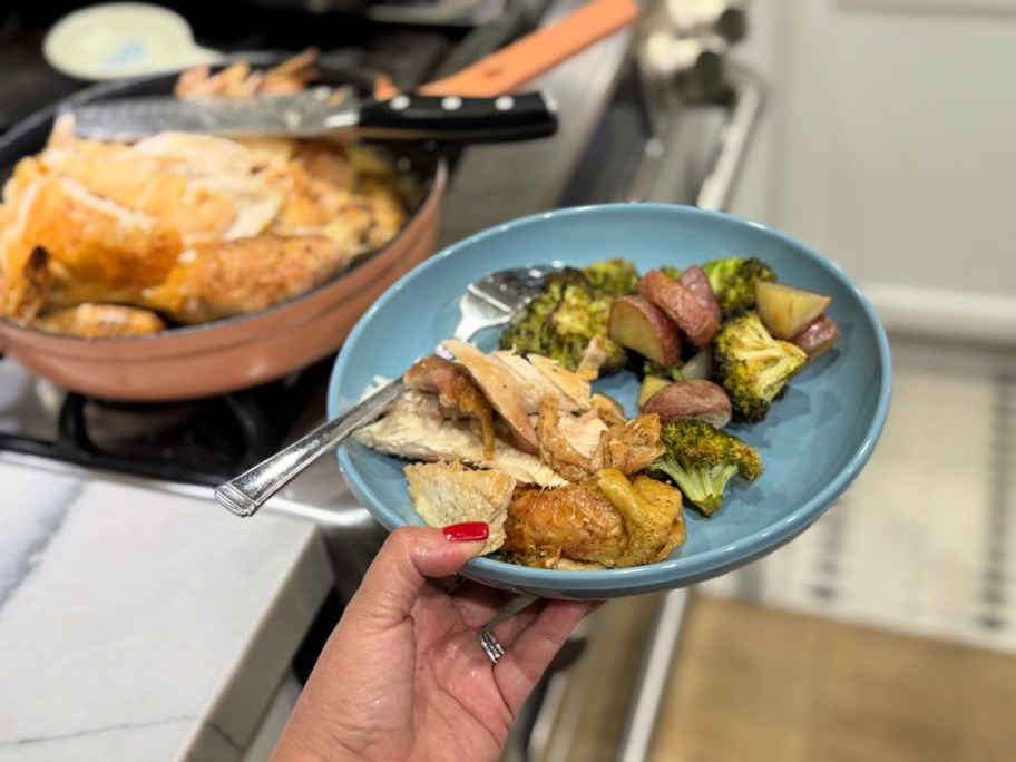 plate with roasted chicken and veggies